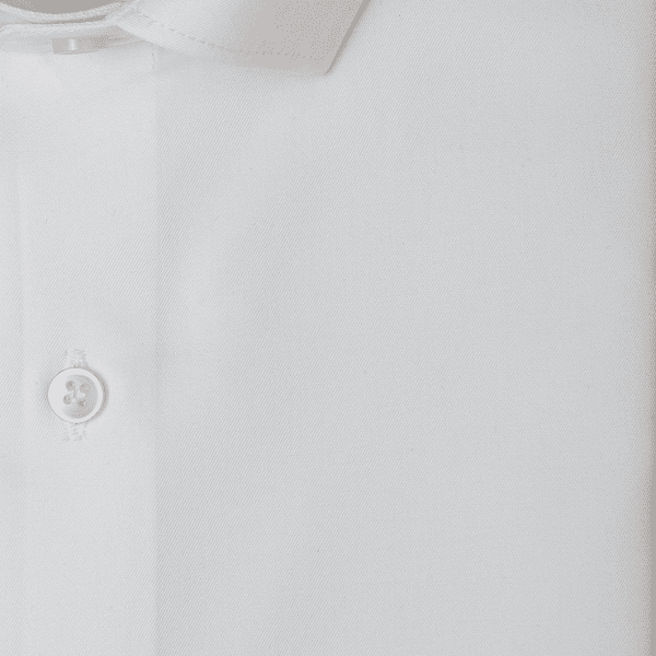 Cotton - Image 2
